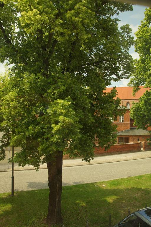 Fewo Auf Der Dominsel-Domlinden Brandenburg  Kamer foto